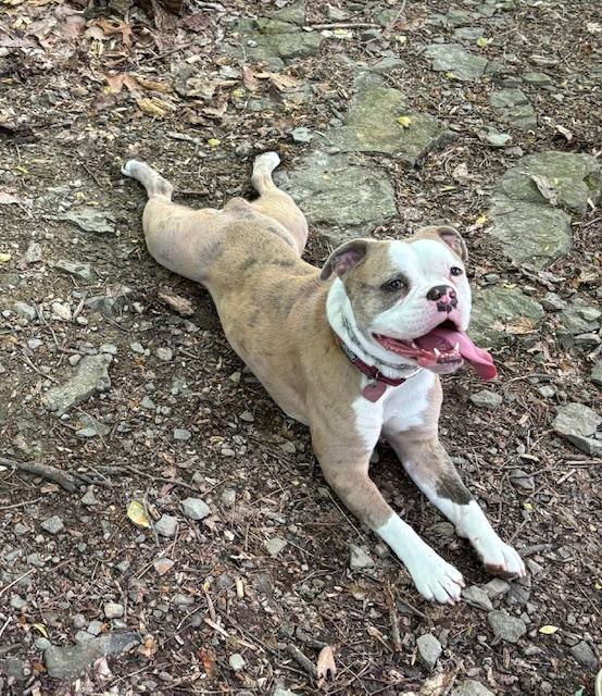 Molly! photo 2