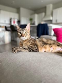 Trixie photo 2