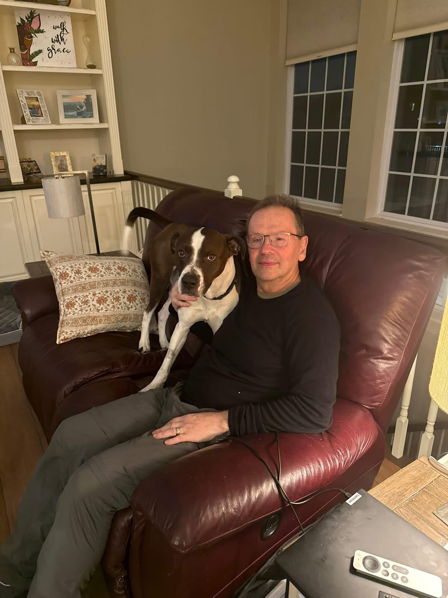 Enlarge Winston, a ADOPTABLE mixed breed in Saint Charles, MO image 2/2