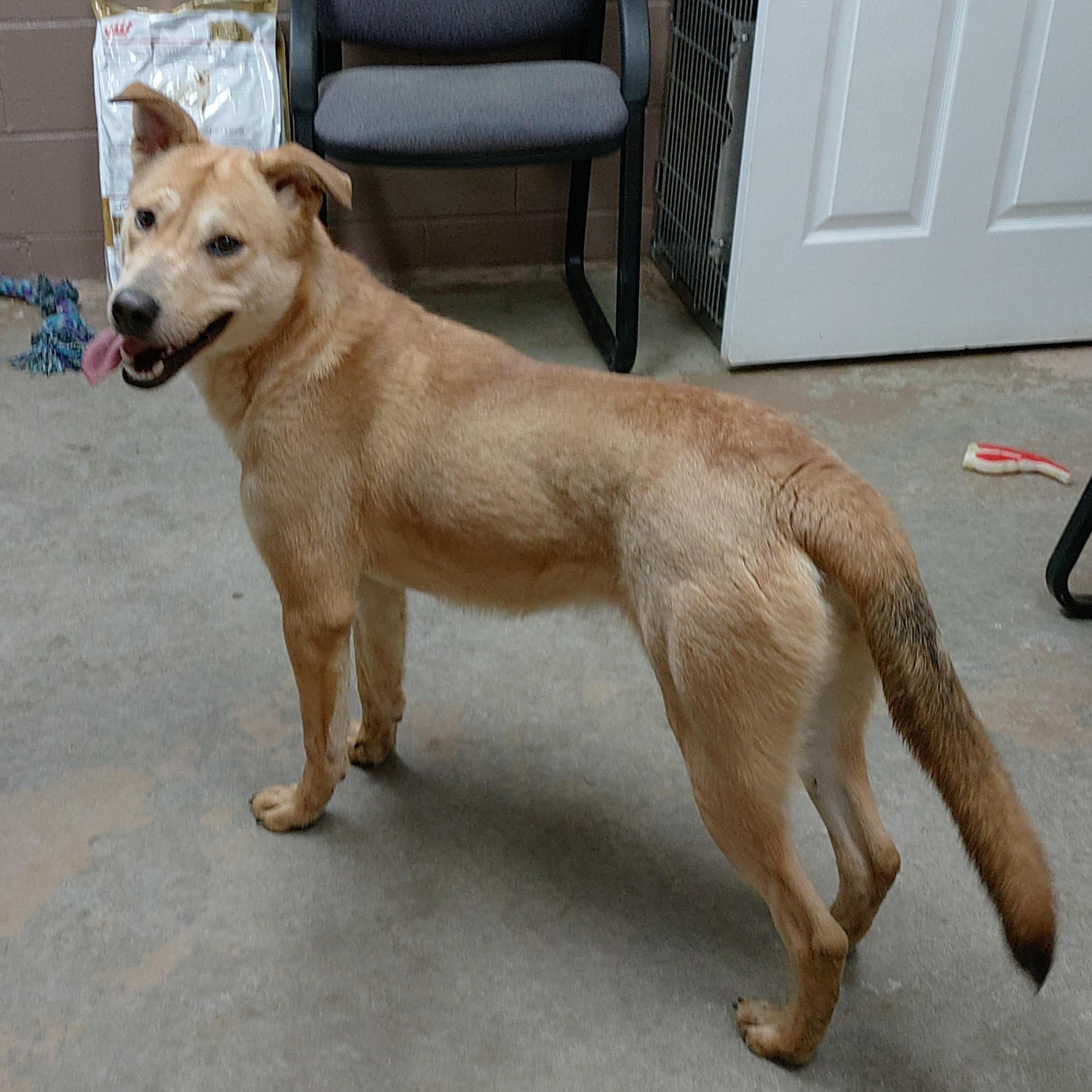 24-221 Available 1-27-25