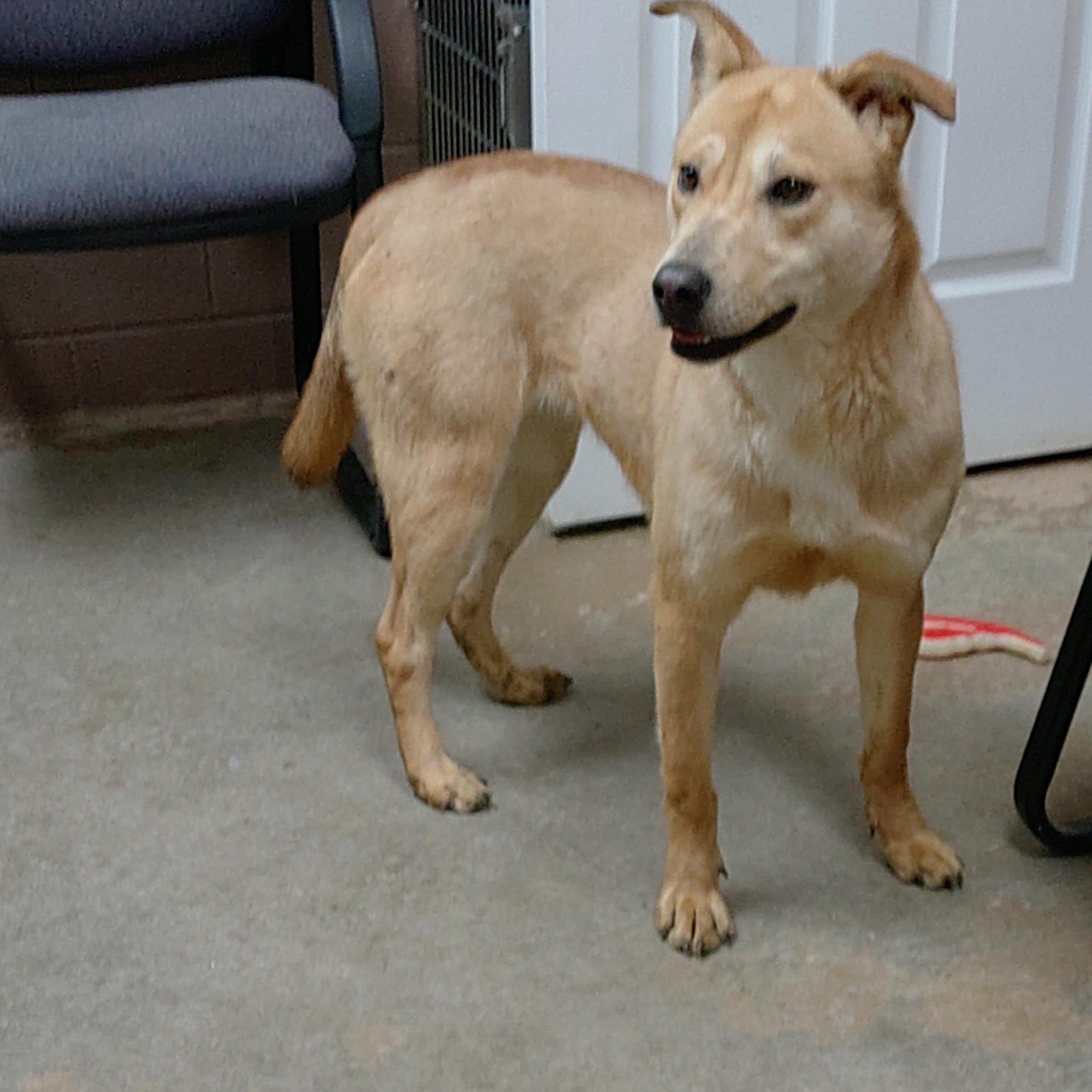 24-221 Available 1-27-25