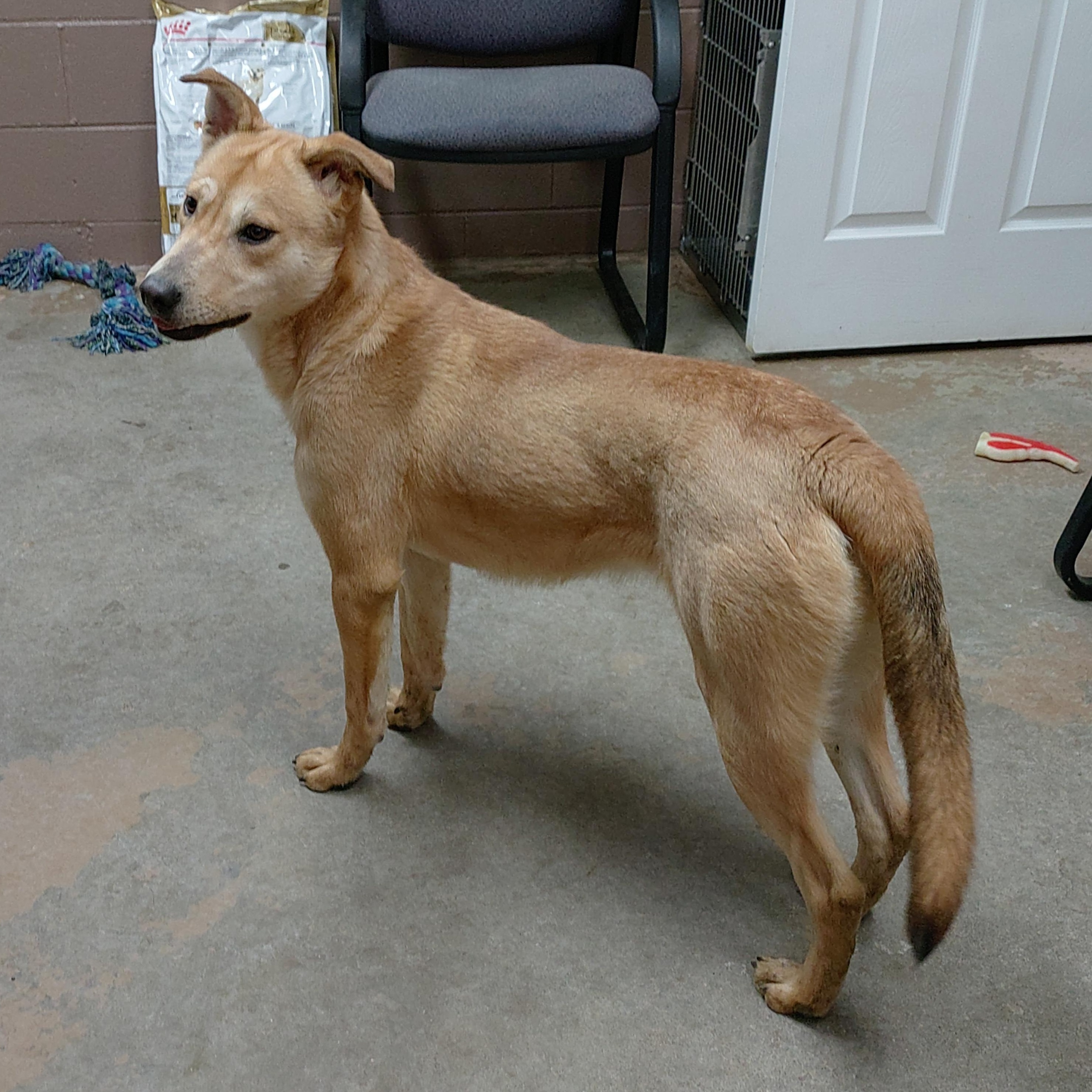 24-221 Available 1-27-25