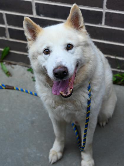 Bolt — thumbnail 2