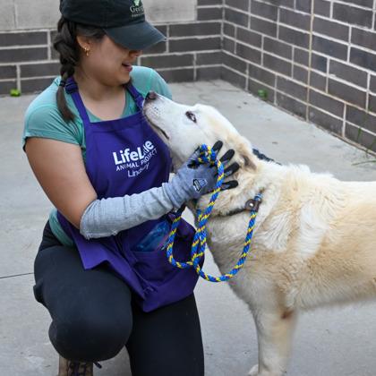 Bolt — thumbnail 3