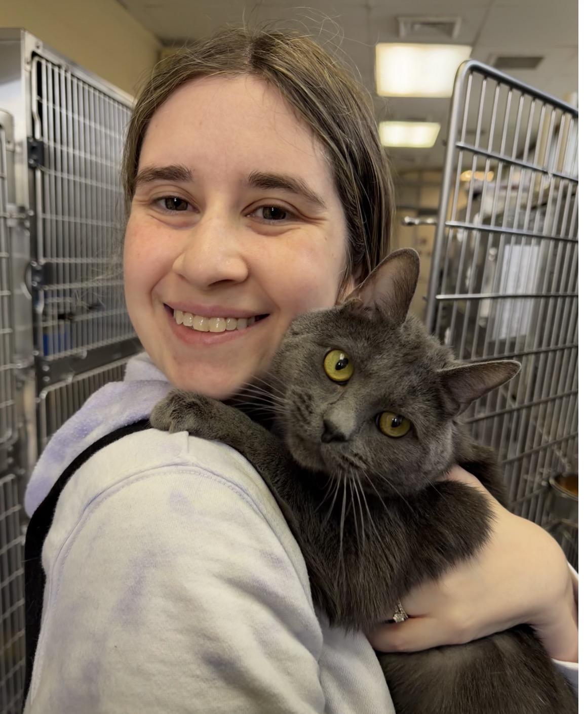 Enlarge Granite, an adoptable Domestic Short Hair in Wantagh, NY image 3/3