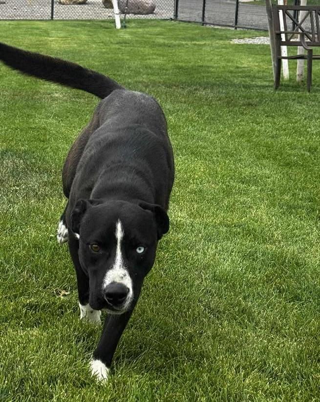 Max