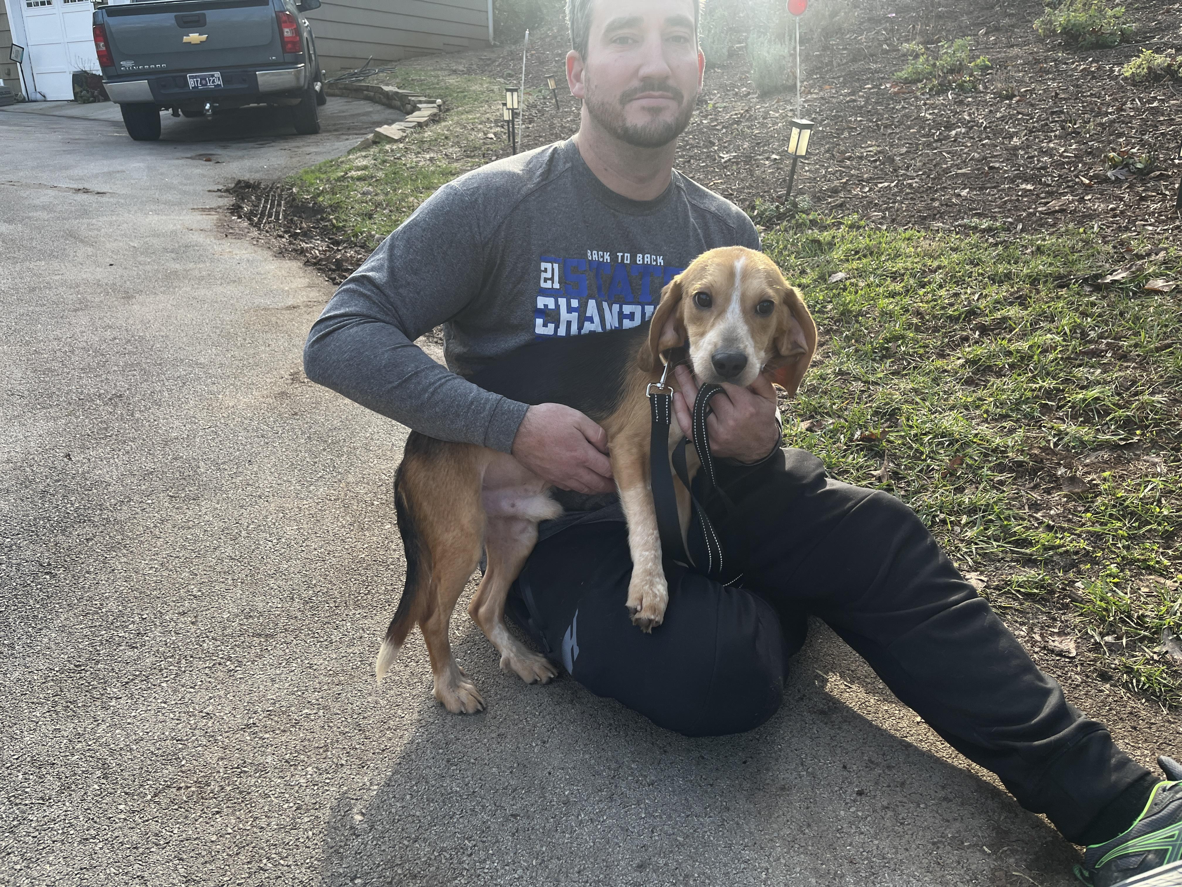 Enlarge Desi, a ADOPTABLE Beagle in Knoxville, TN image 2/2