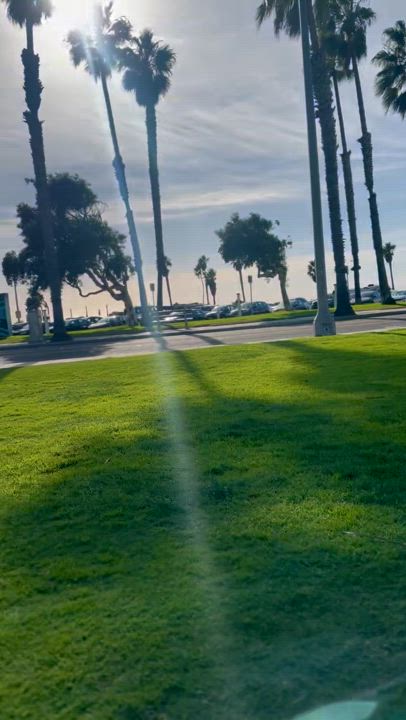 Enlarge Ethel, a Adopted German Shepherd Dog in Tarzana, CA video 5/5