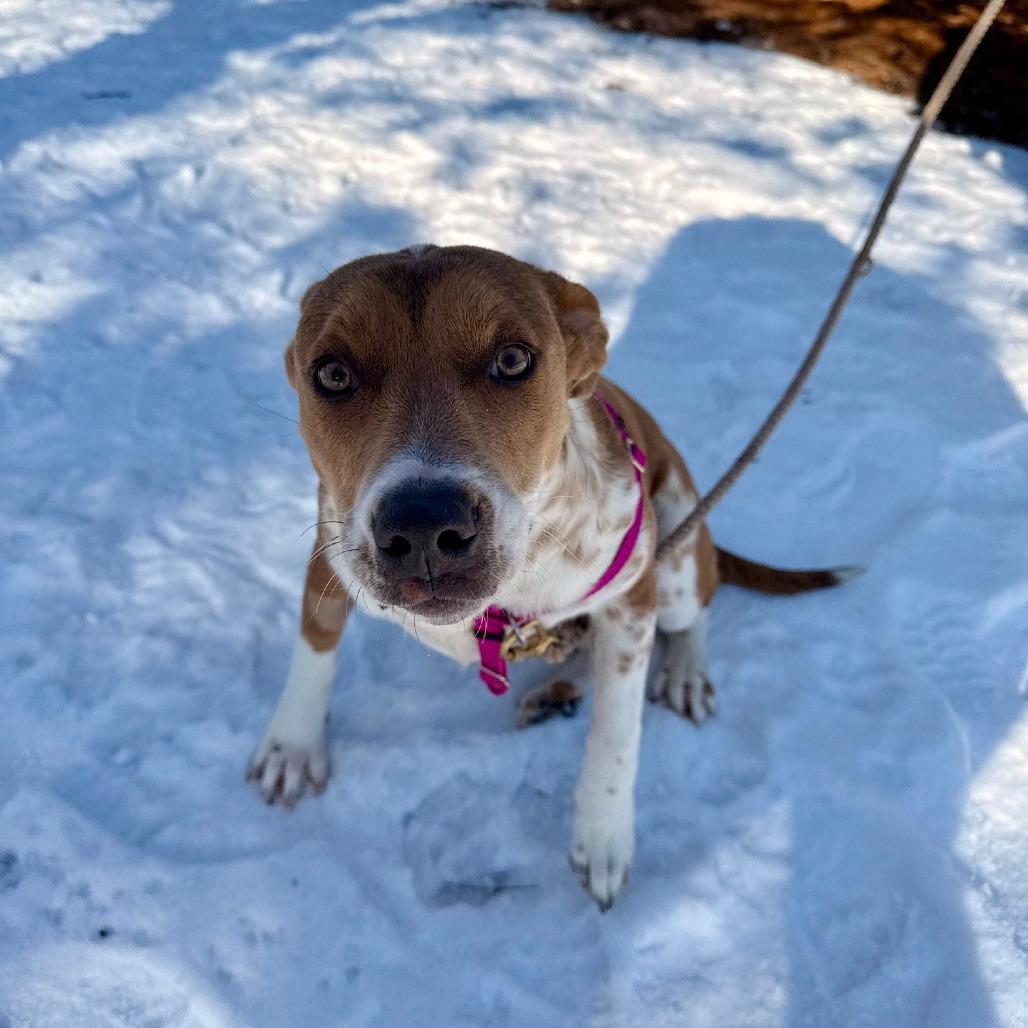 Miss Tutti Frutti thumbnail 2