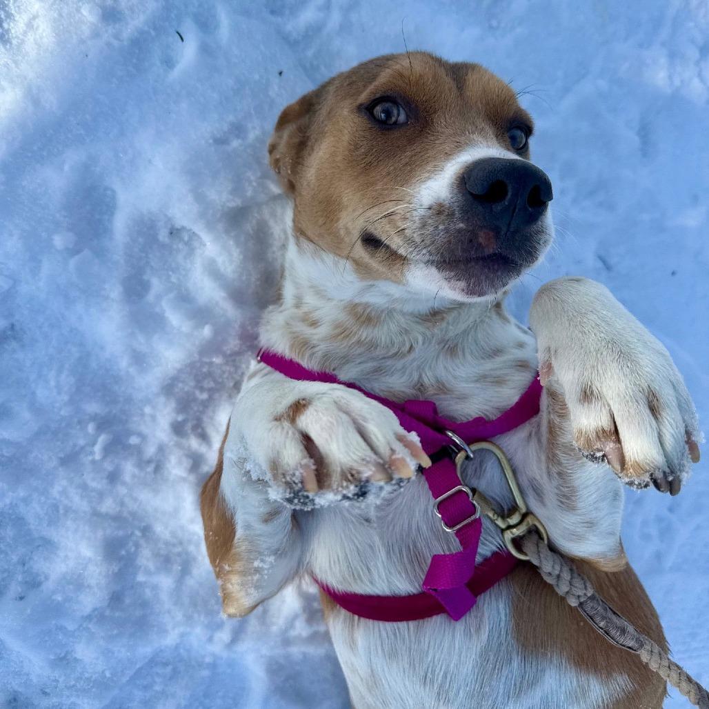 Miss Tutti Frutti thumbnail 3