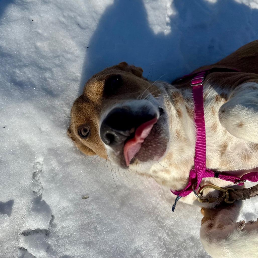 Miss Tutti Frutti thumbnail 4