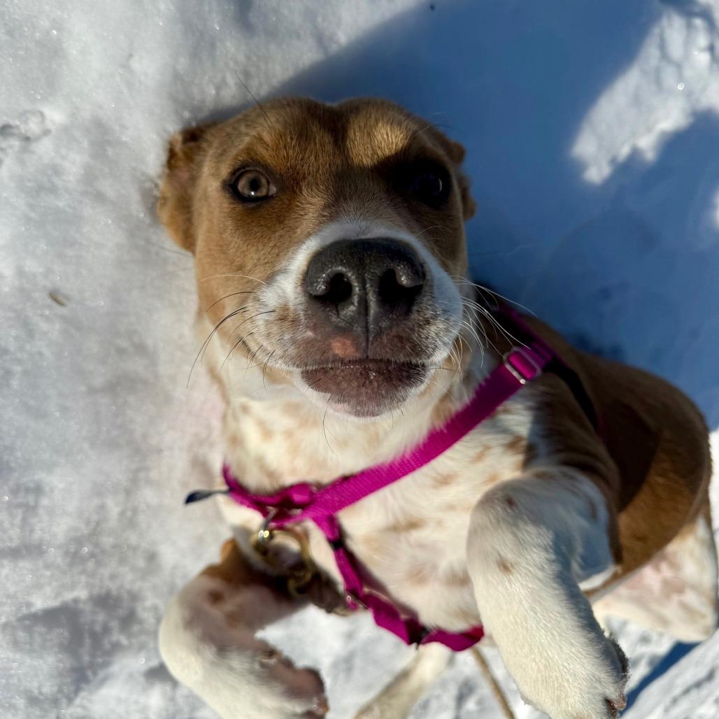 Miss Tutti Frutti thumbnail 5