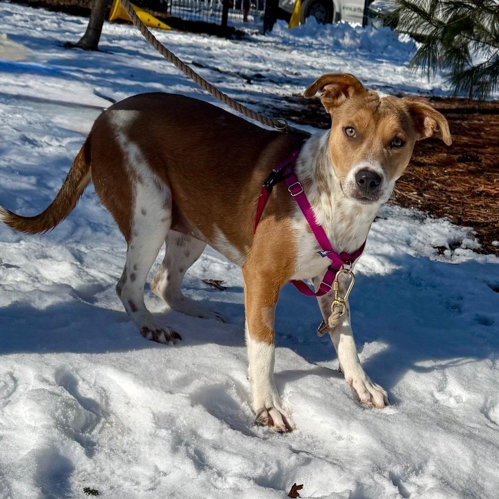 Miss Tutti Frutti thumbnail 6