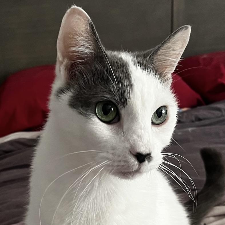 Toby — thumbnail 2