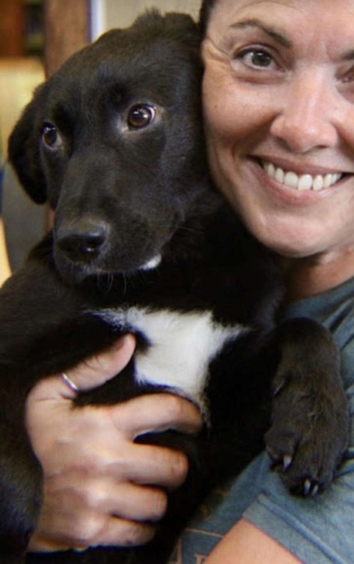Sherry, an adopted mixed breed in Watertown, CT image 2/3