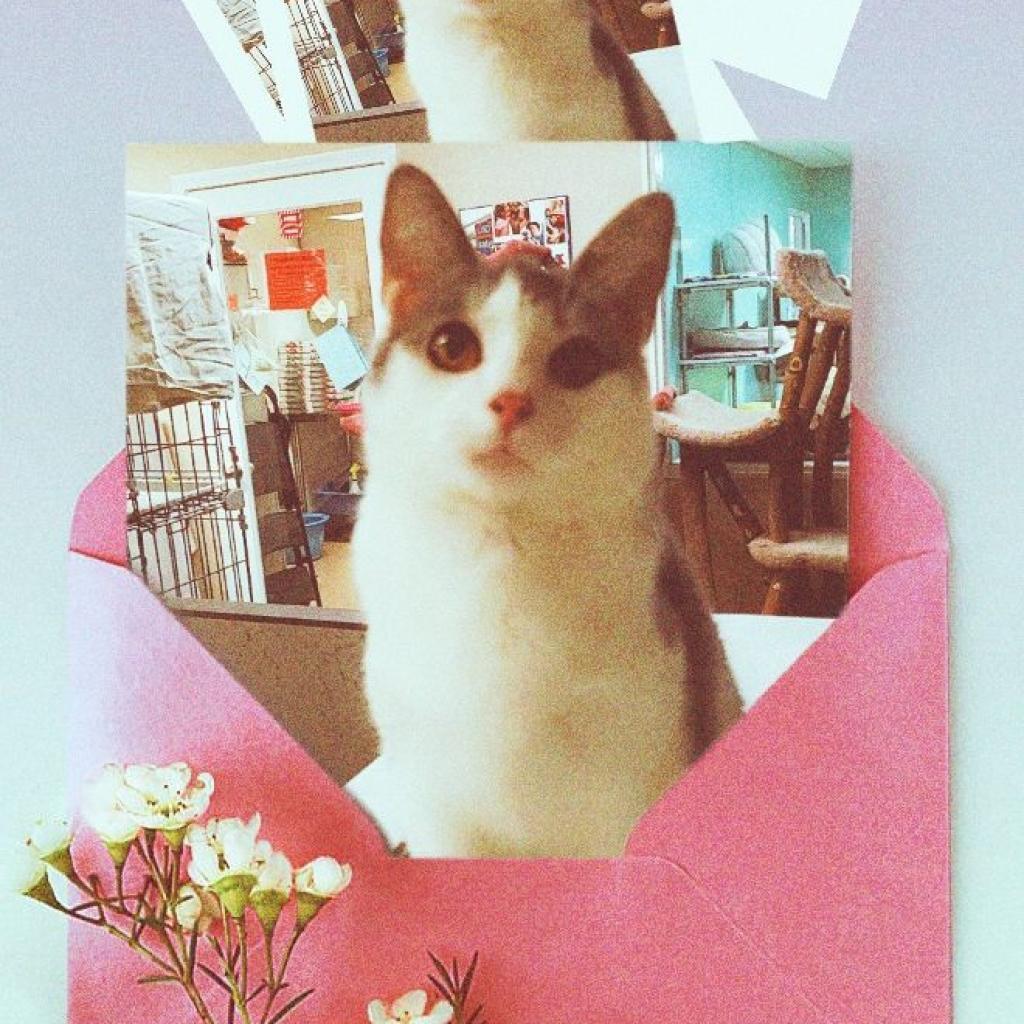 Keleigh — thumbnail 6