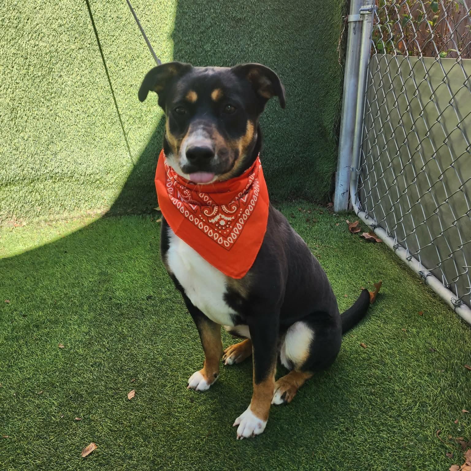 Caroline — thumbnail 6