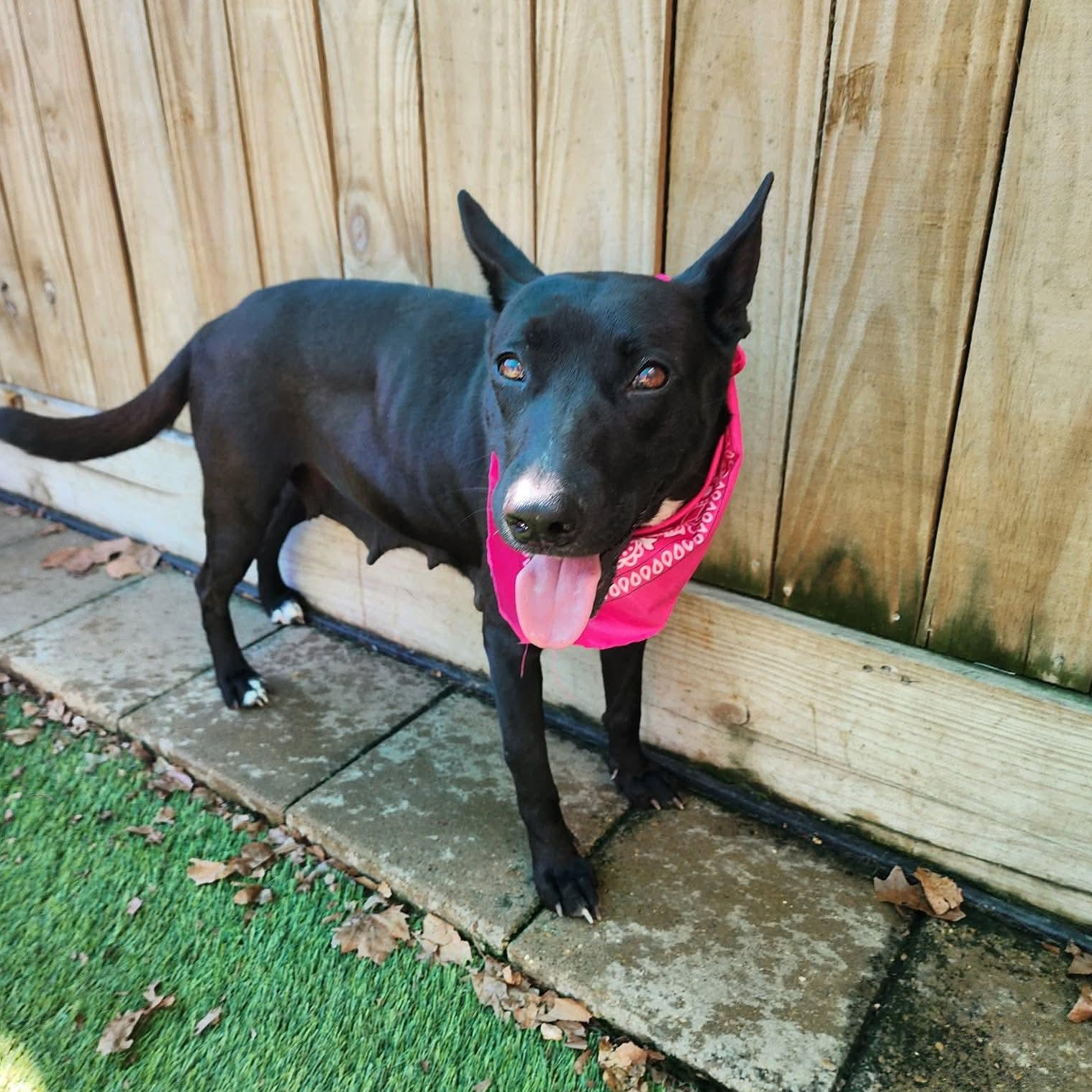 Brazil — thumbnail 4