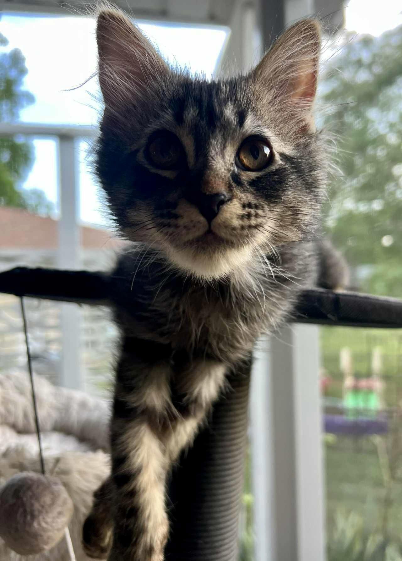 Stanley
