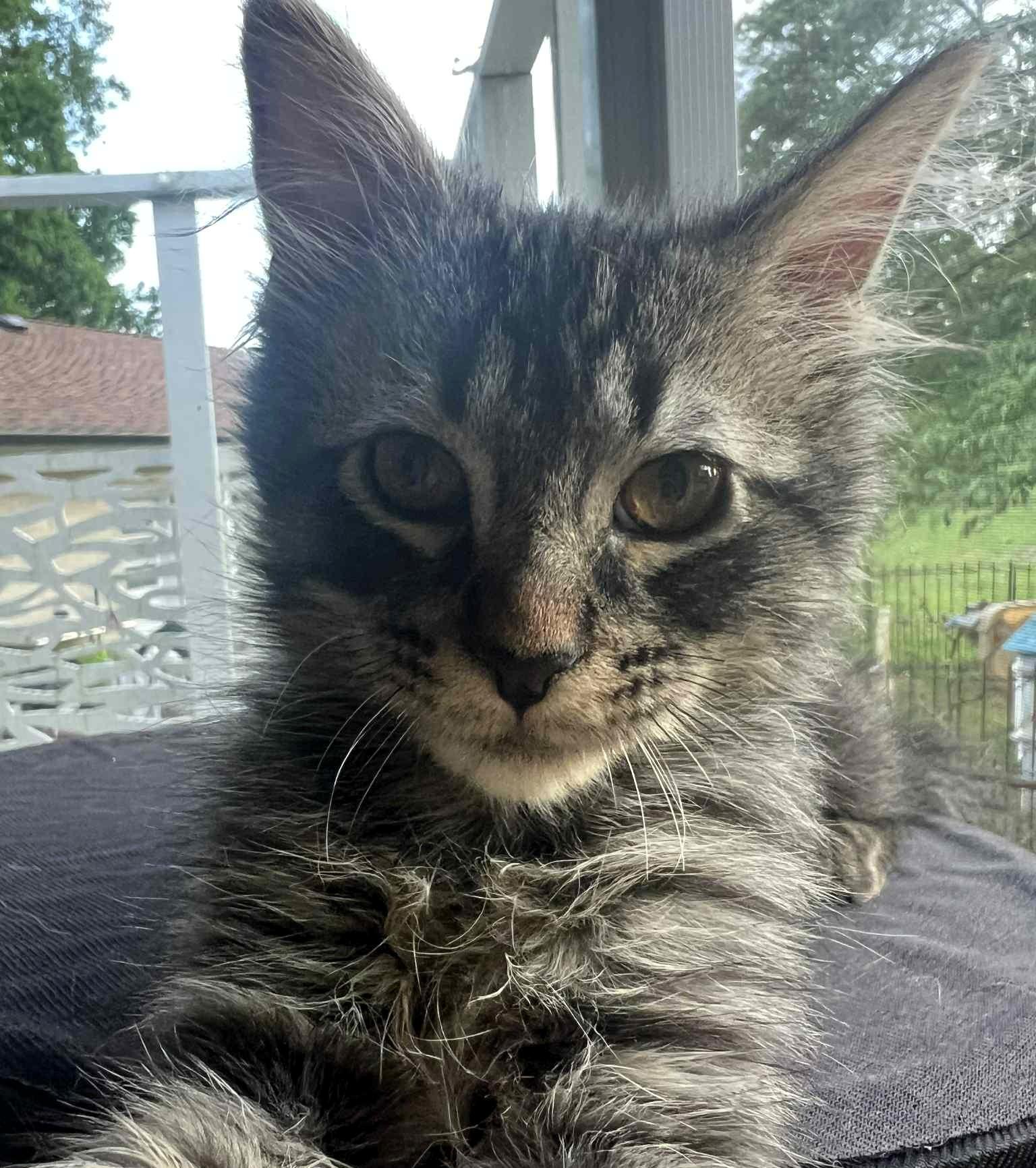Stanley