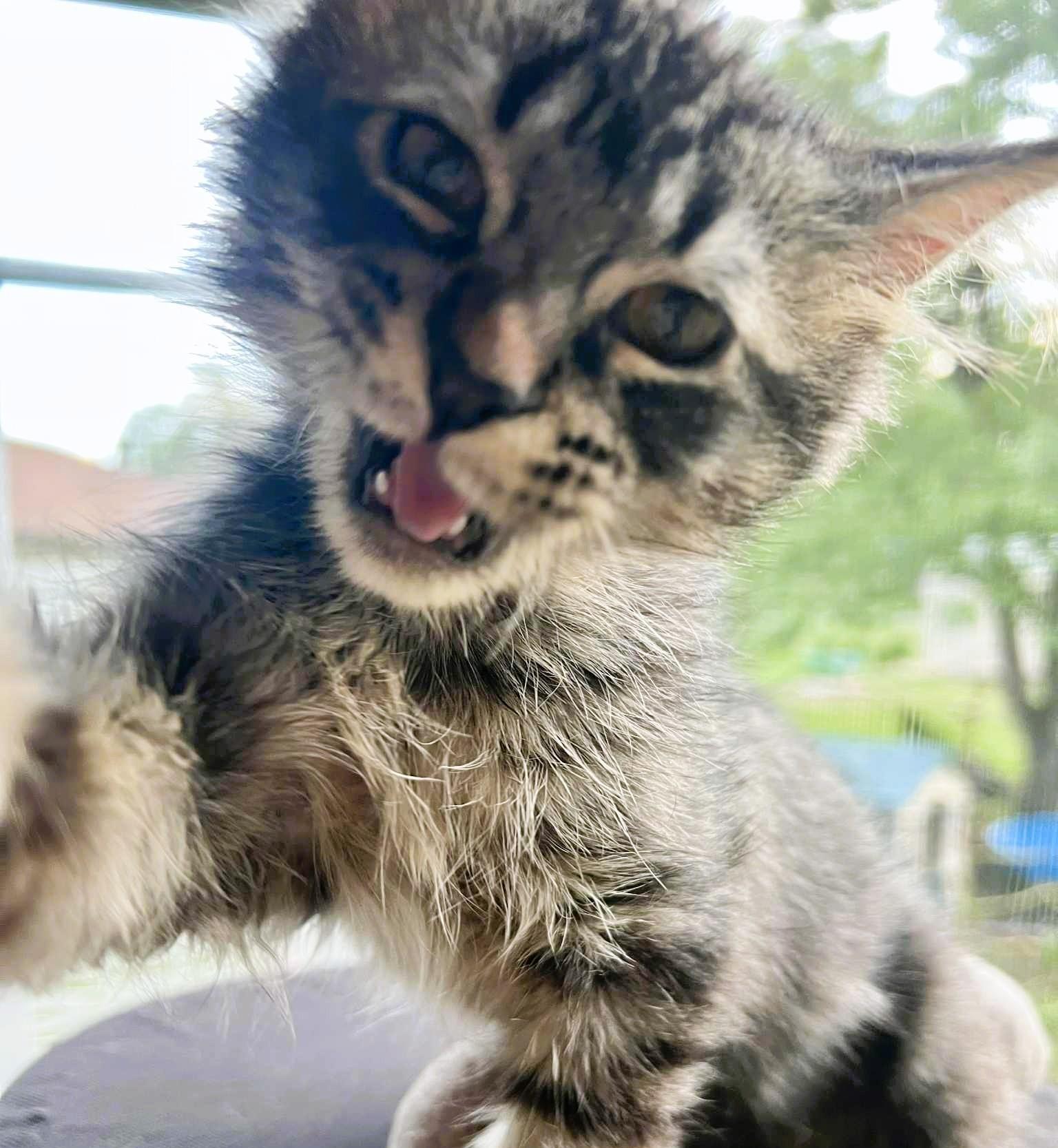 Stanley