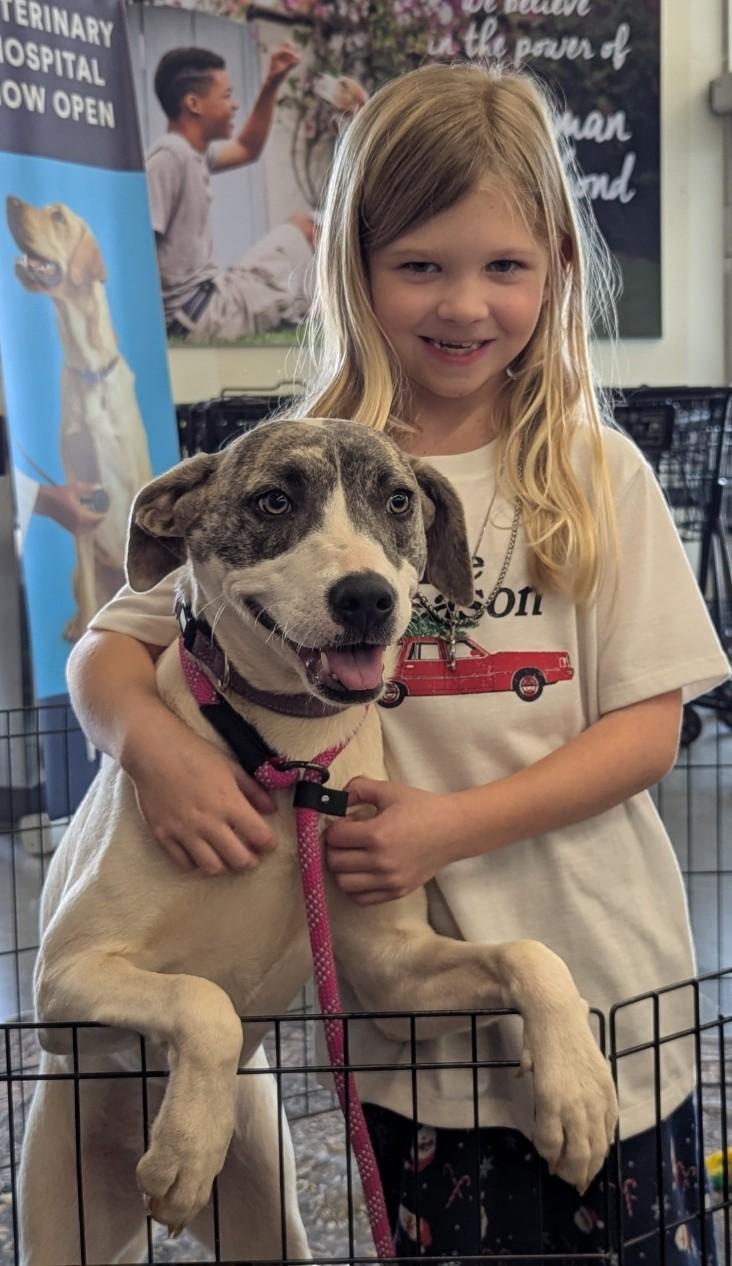 Enlarge Sunny, a Adoptable mixed breed in Milner, GA image 2/3