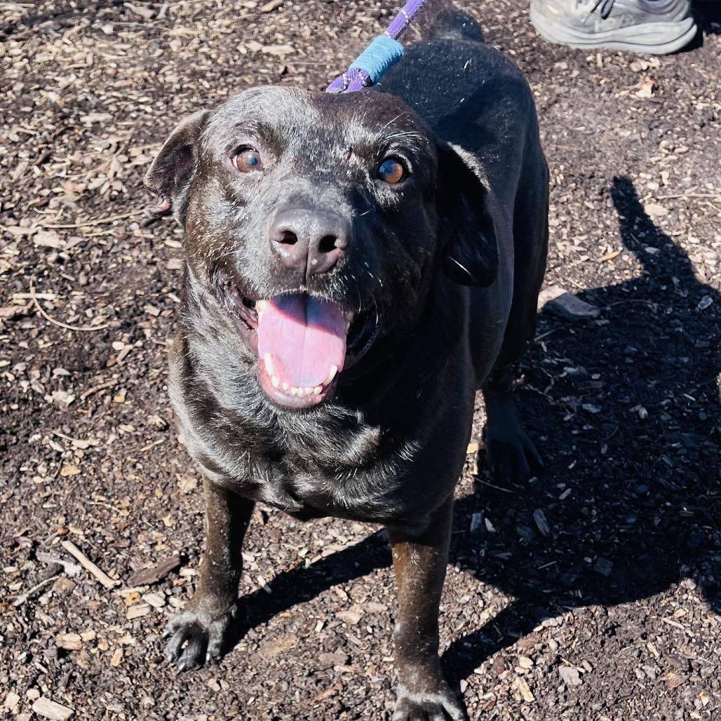 Quentin — thumbnail 3