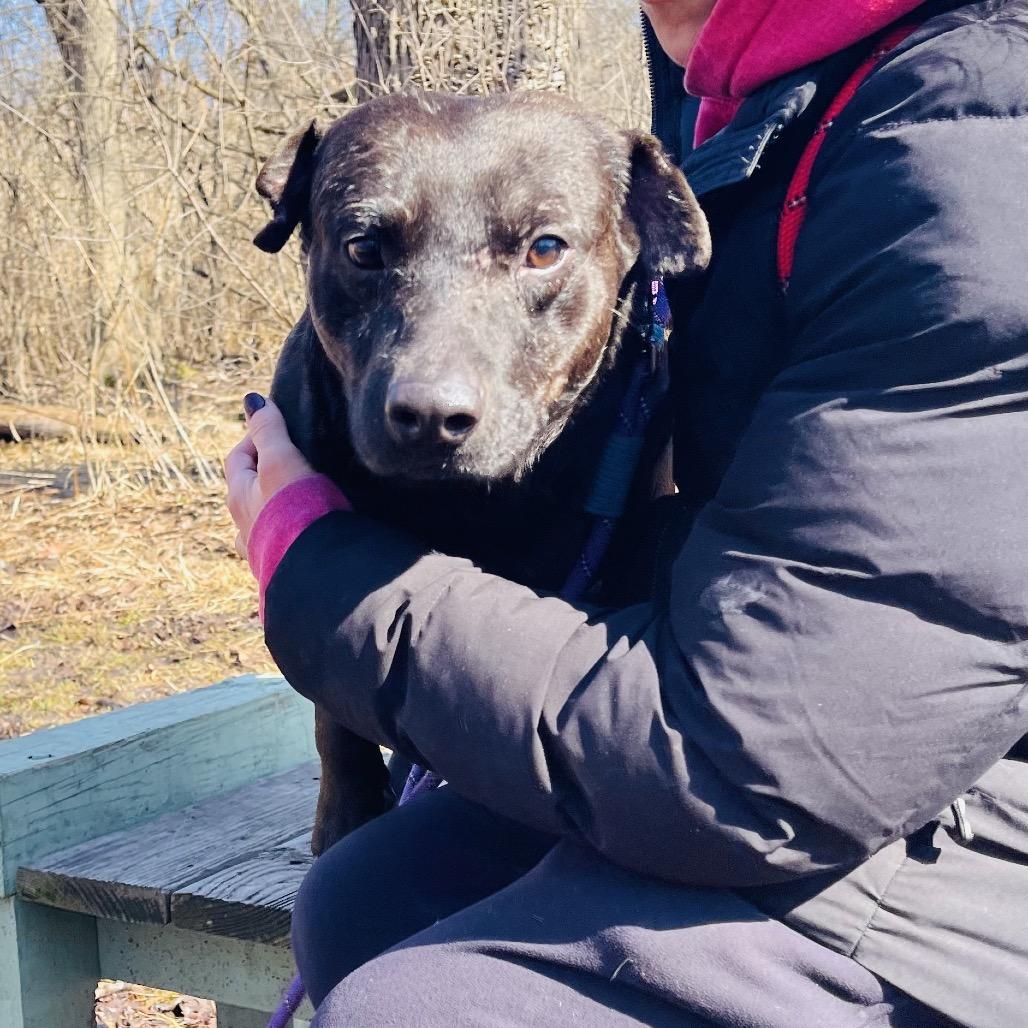 Quentin — thumbnail 4