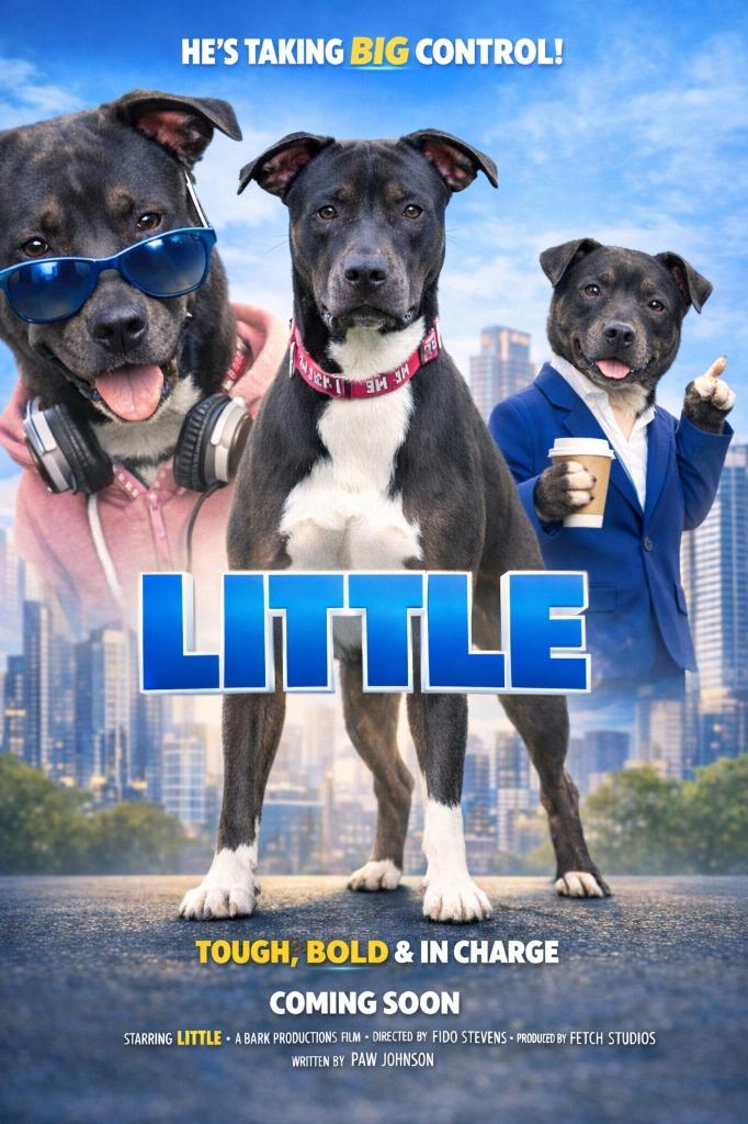 Little — thumbnail 4