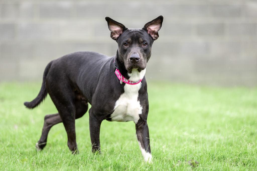 Little — thumbnail 5