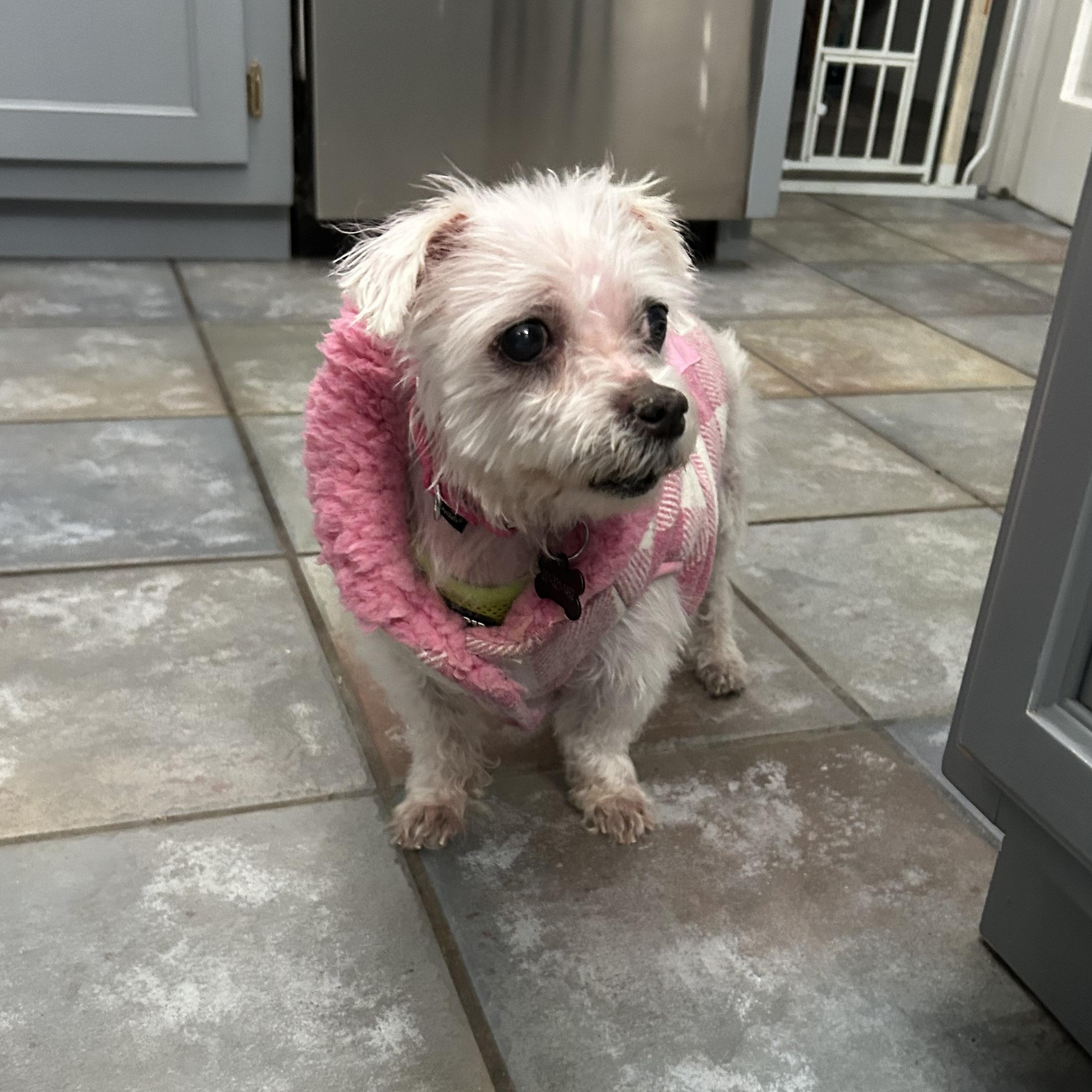 Princess thumbnail 3