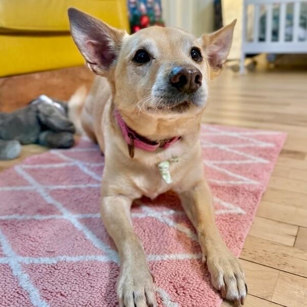 Buddy Reid — thumbnail 4