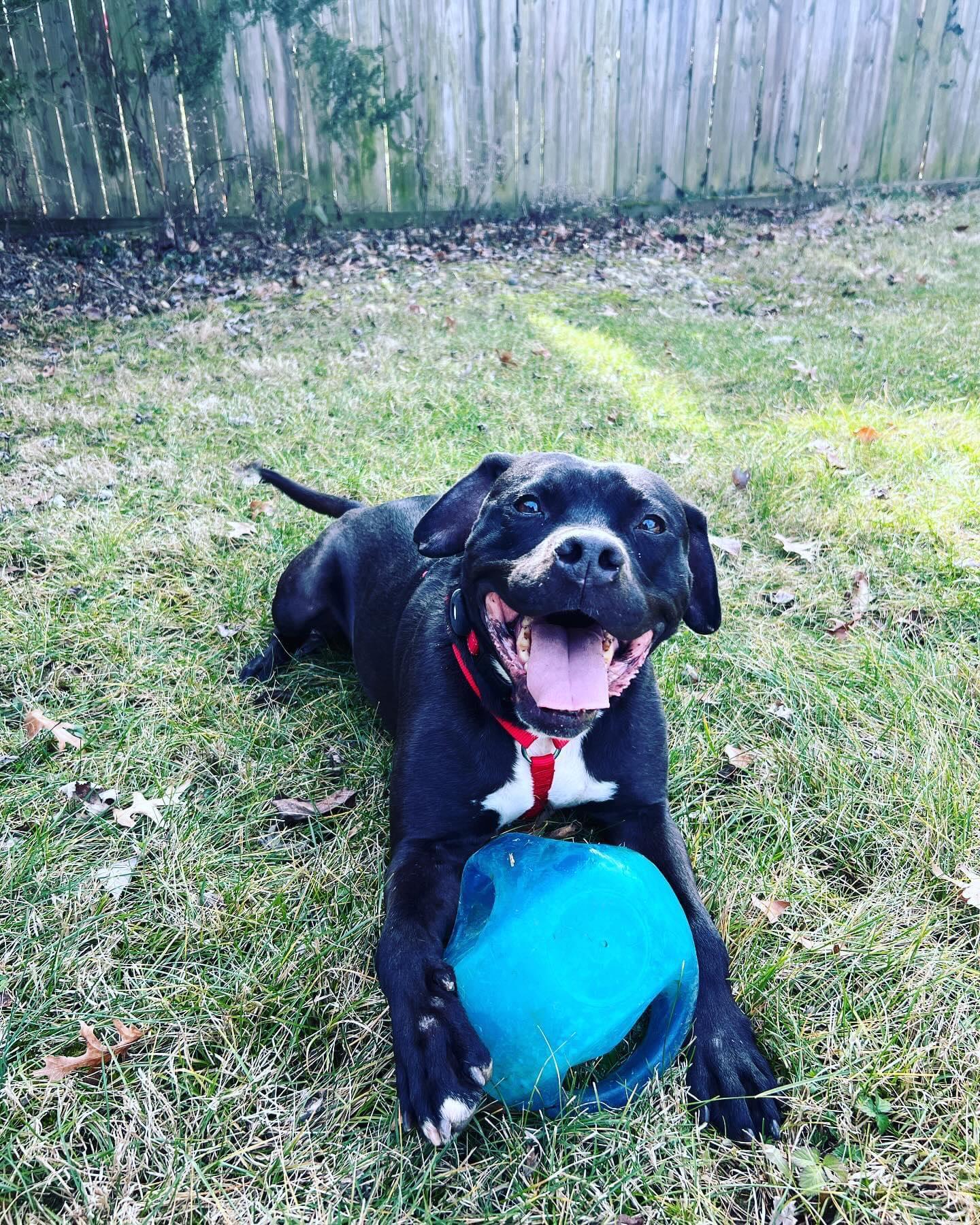 Murphy James — thumbnail 4