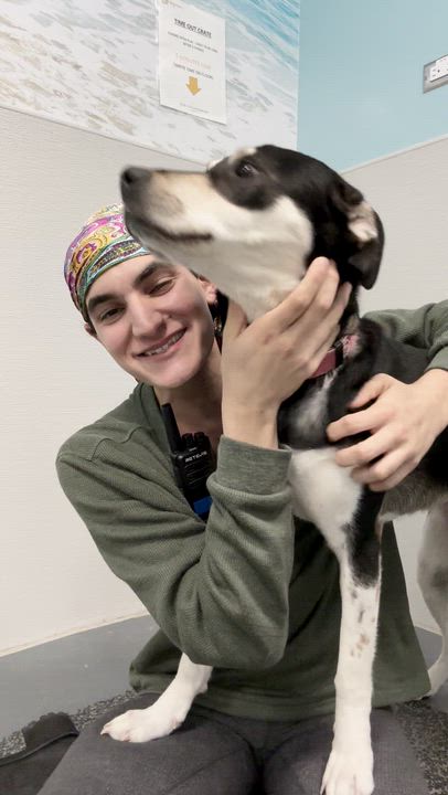 Enlarge Stormi, a Adoptable mixed breed in Aurora, ON video 2/6