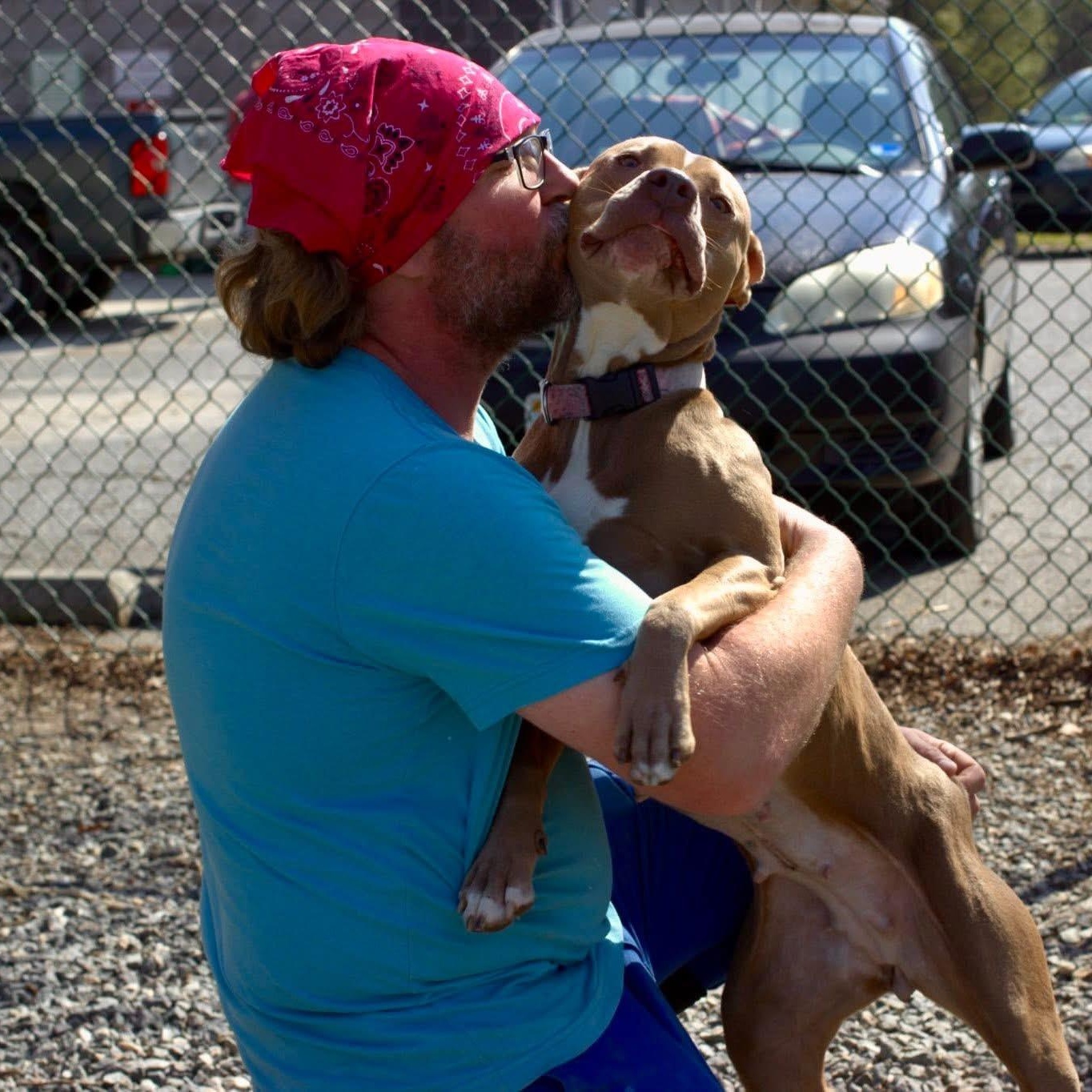 Enlarge Clementine, a Adoptable mixed breed in Saluda, VA image 3/5