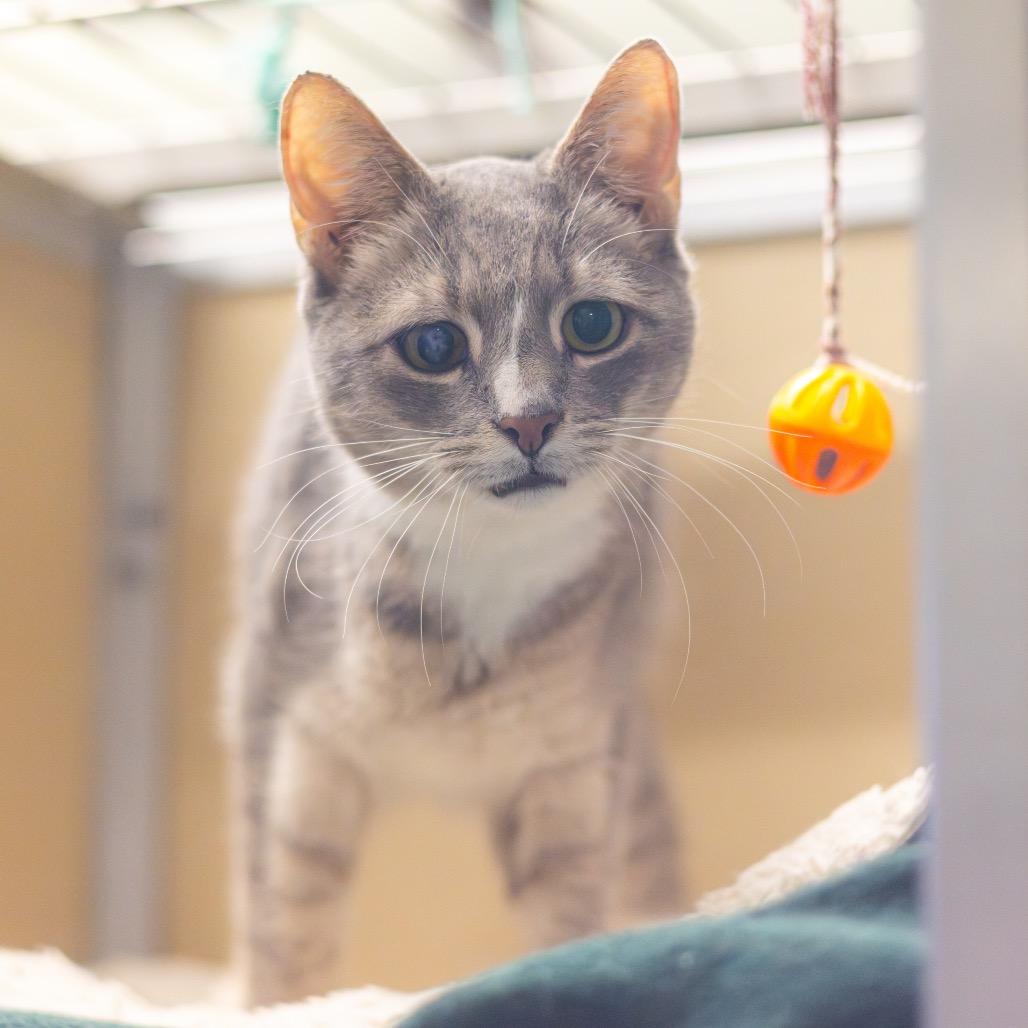 Glacier — thumbnail 5