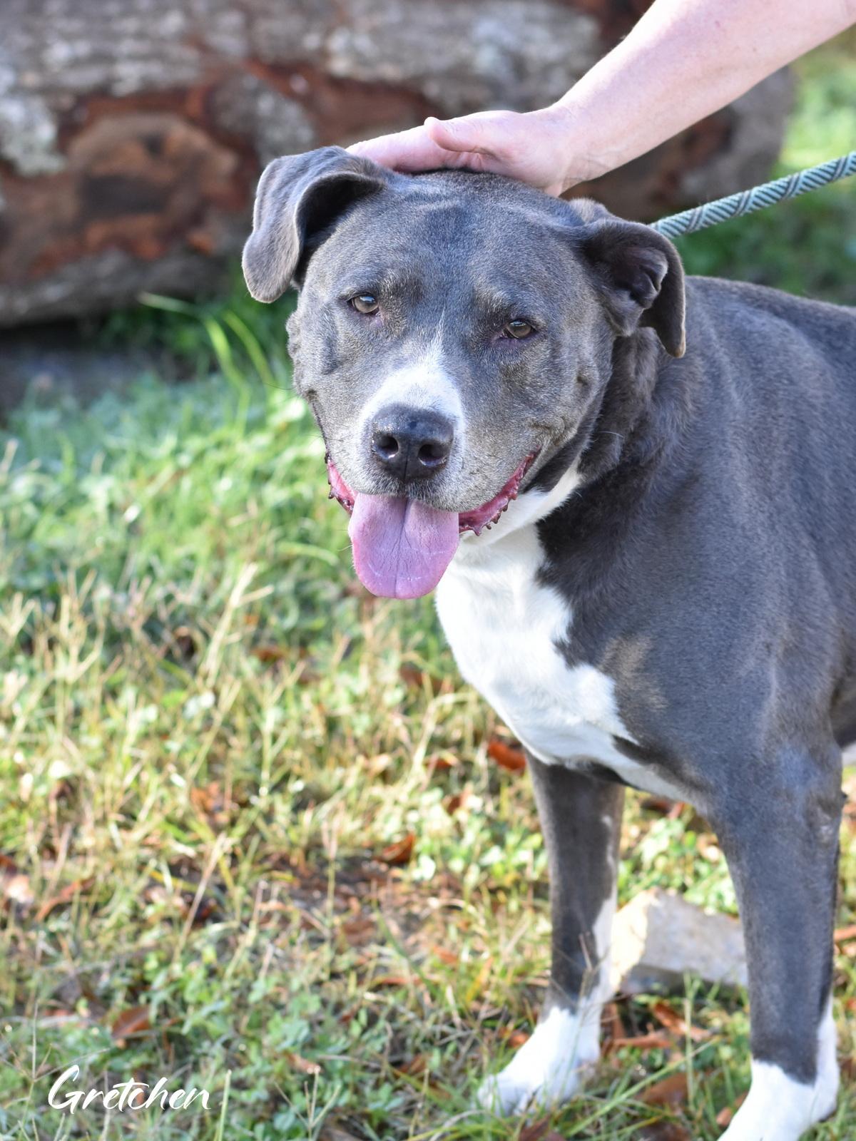 Maggie — thumbnail 3