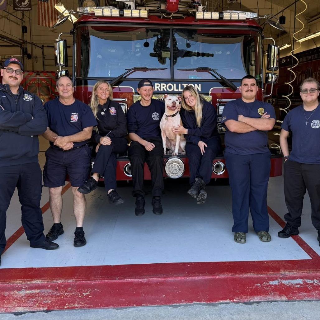 Woo Girl — thumbnail 2