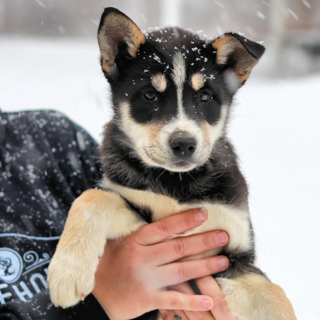 Ct Kenai thumbnail 2