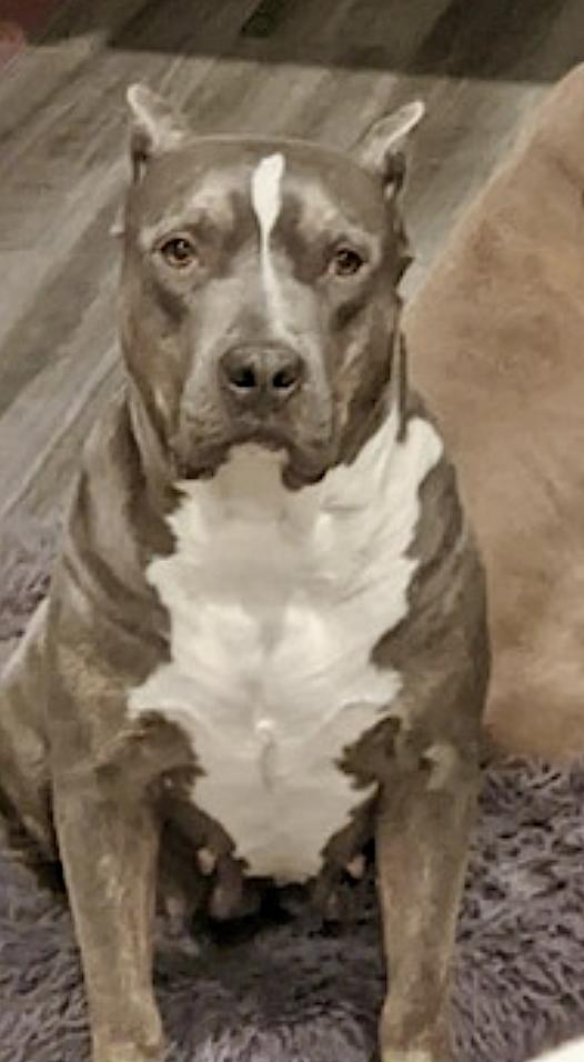 Neela — thumbnail 5