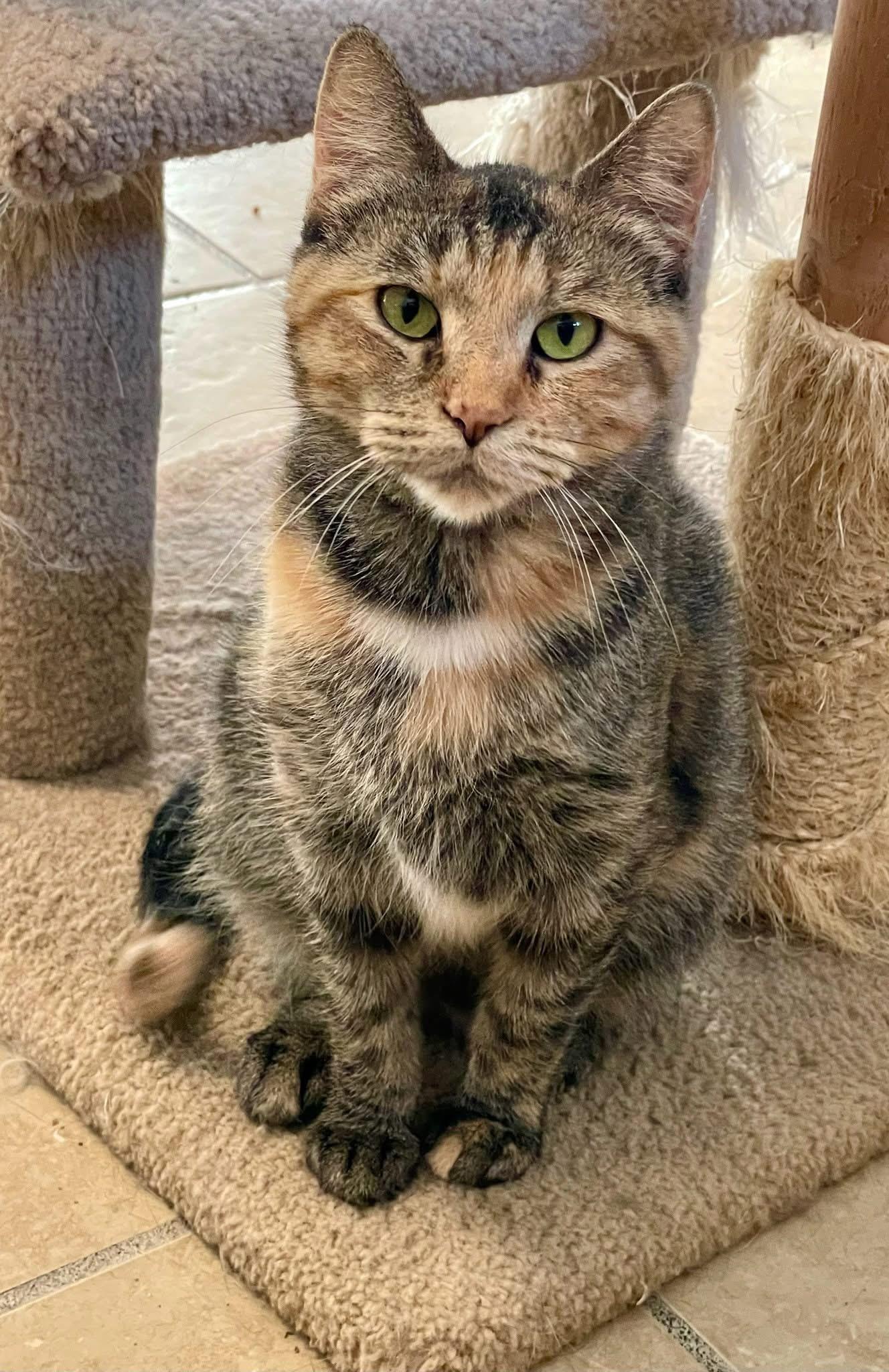 Cleo