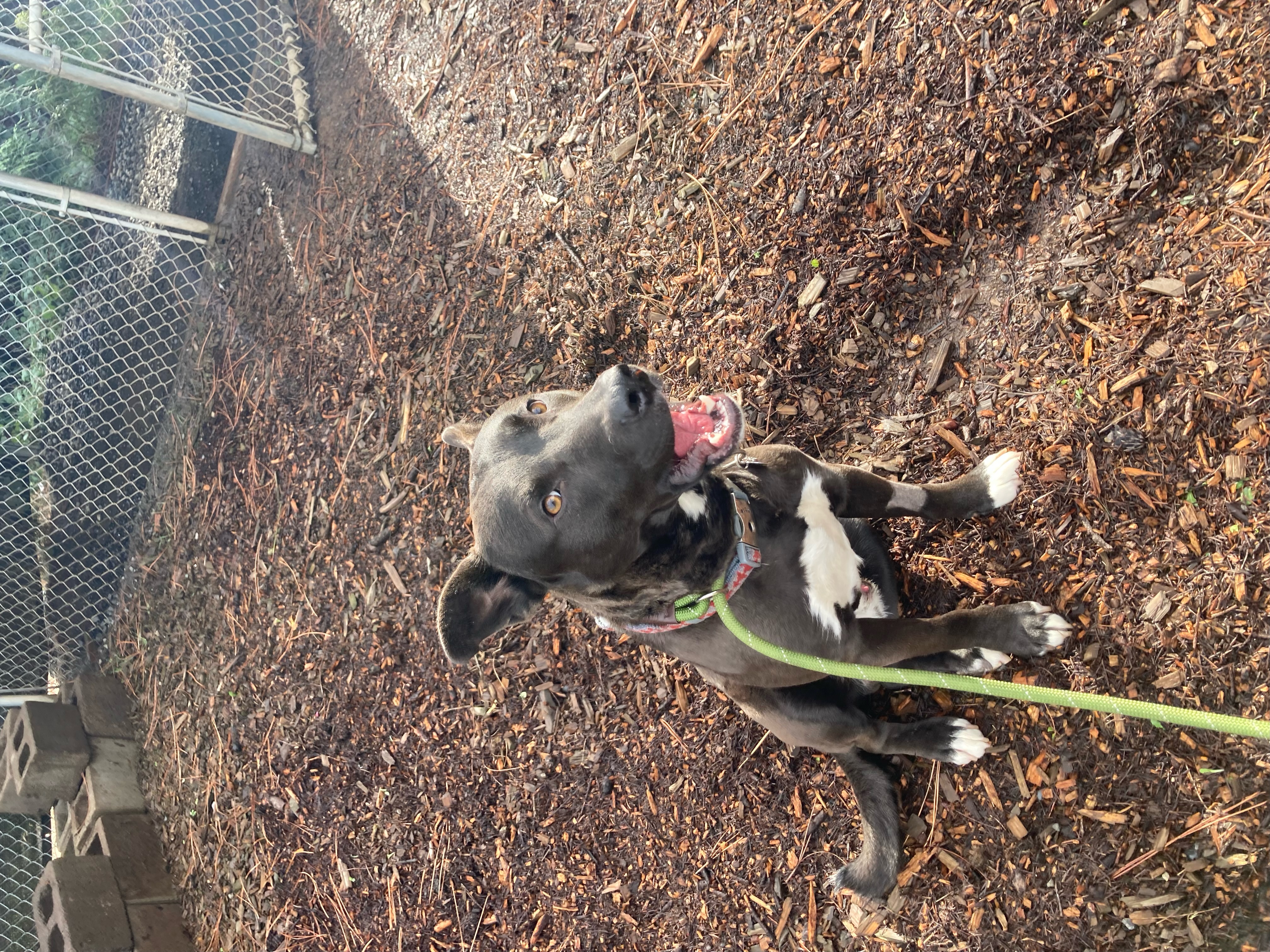 Zeus photo 2