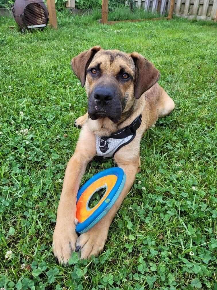 Freedom (20230603-05) — thumbnail 4