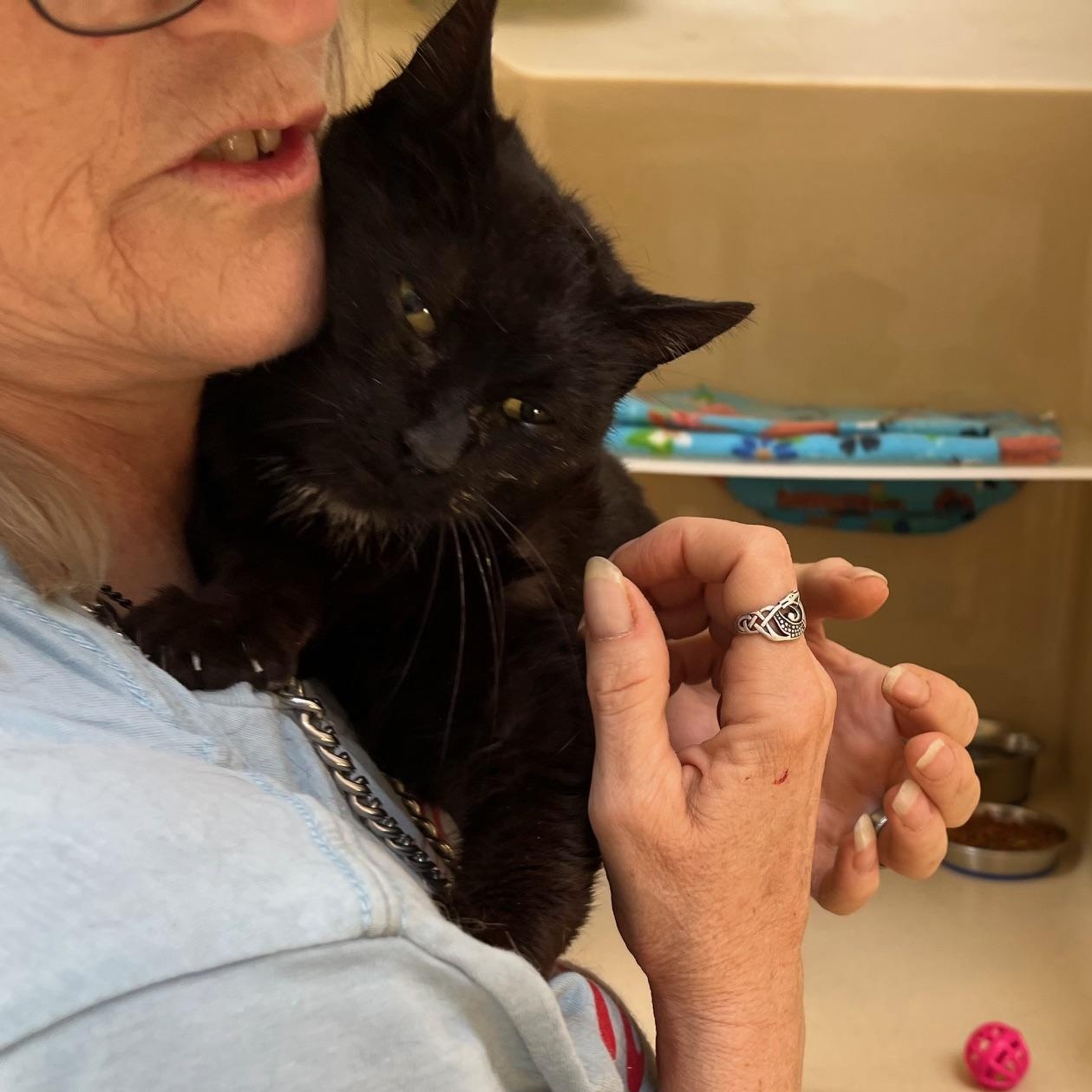 Ms Daisy thumbnail 2