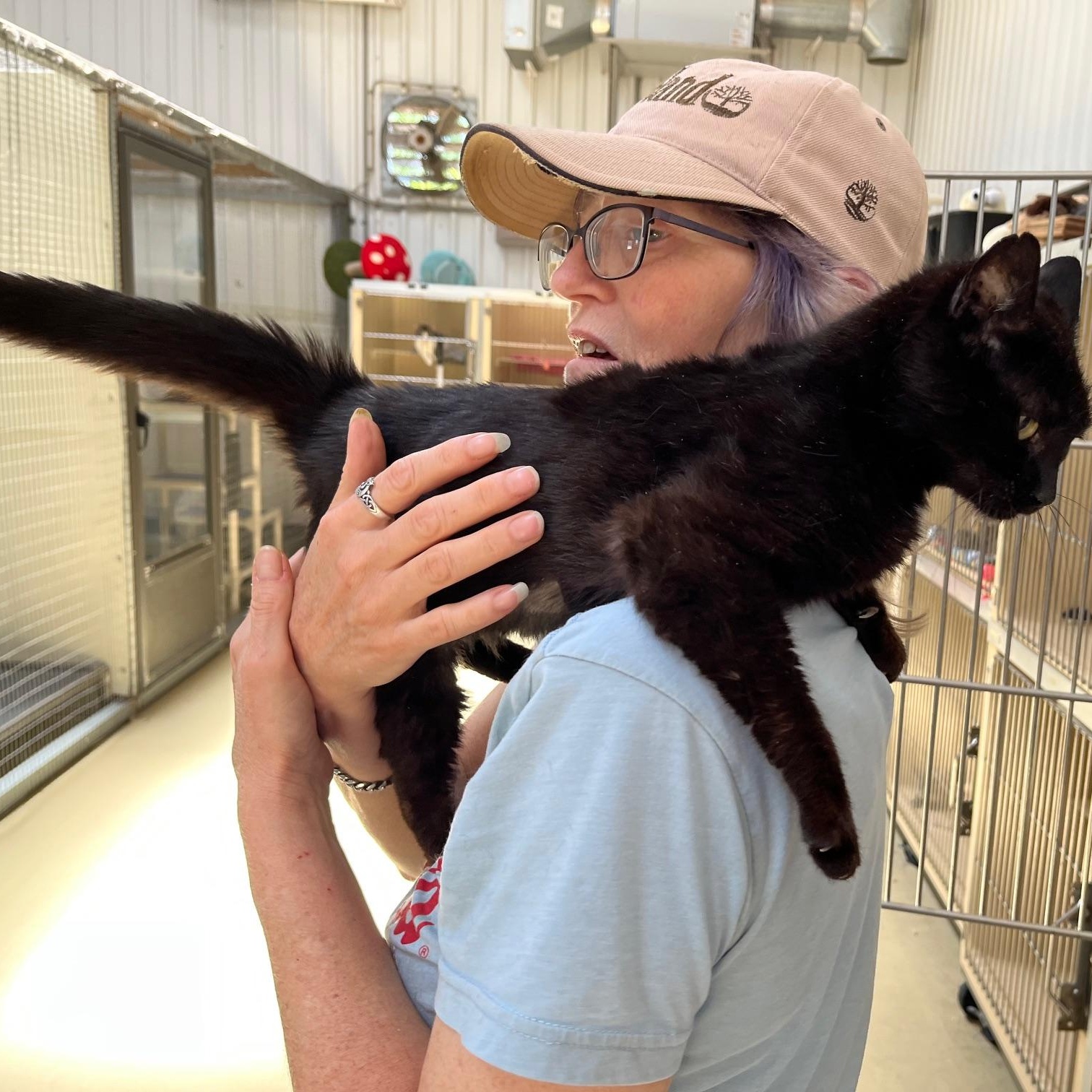 Ms Daisy, a Adoptable mixed breed in Clarksville, VA image 5/5