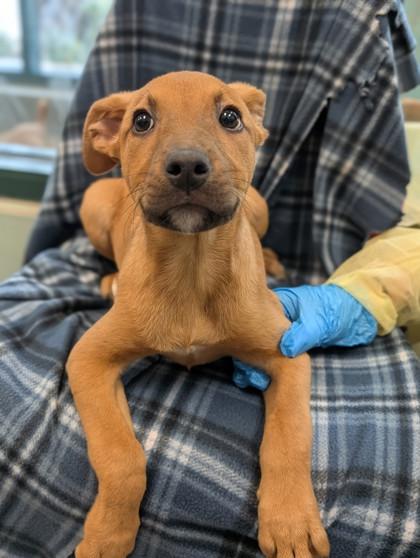 Eufy — thumbnail 2