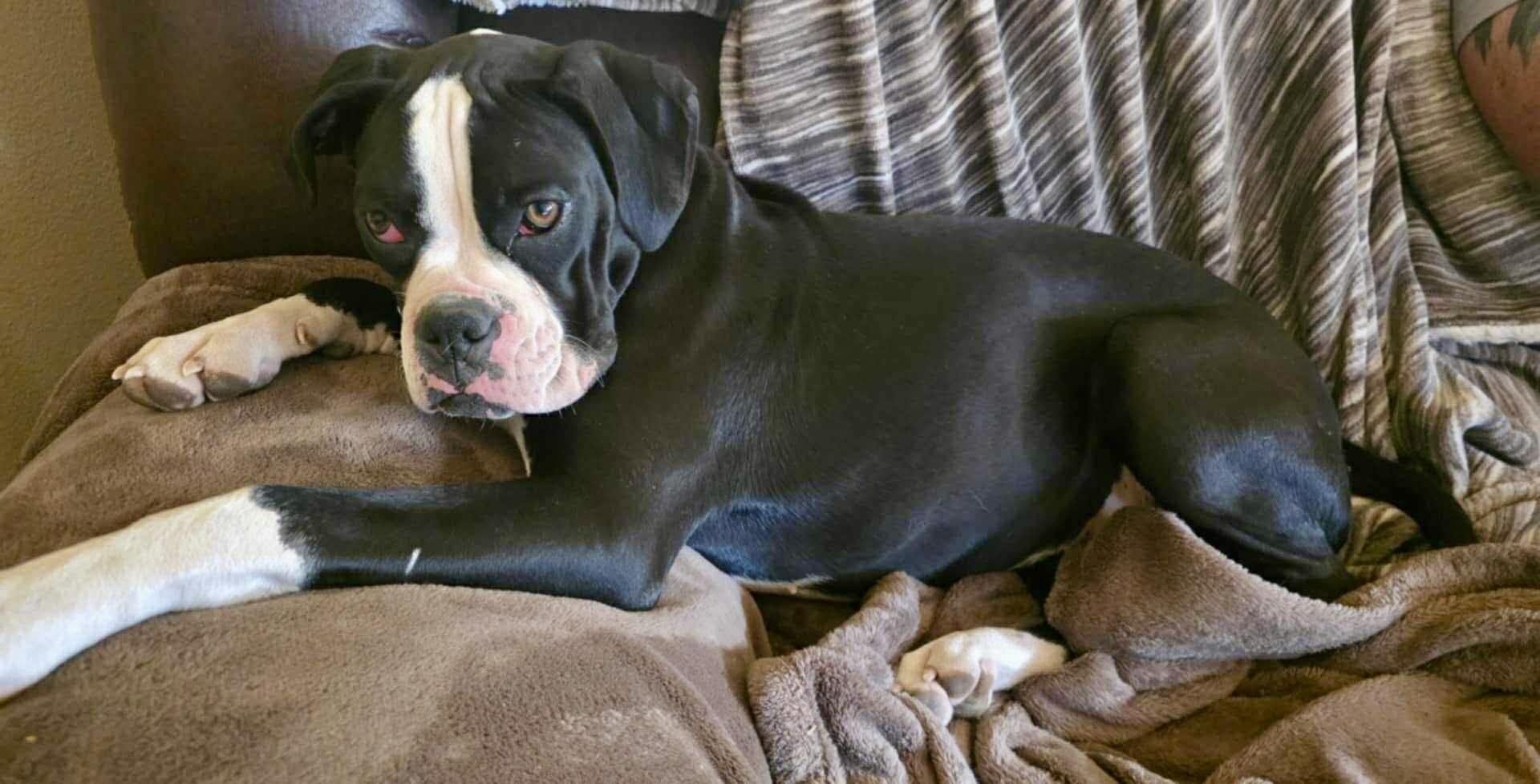 Marley