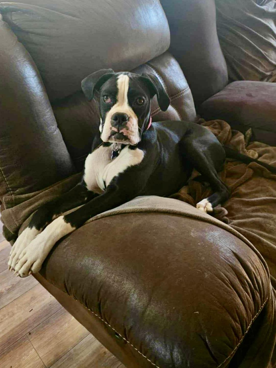 Marley