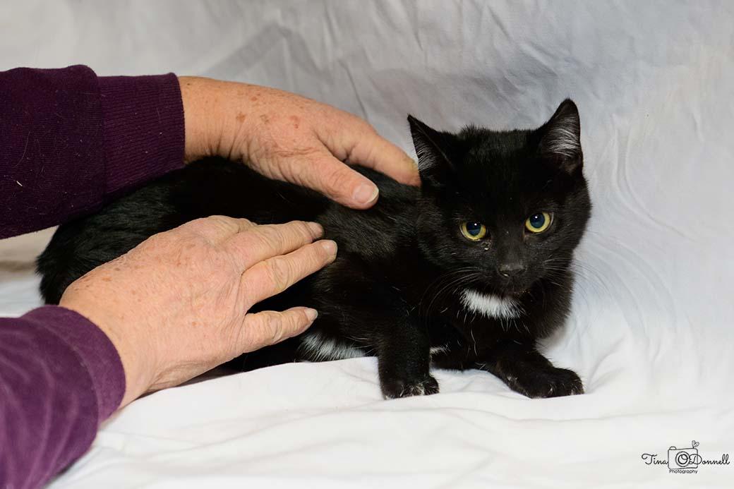 Winifred photo 2