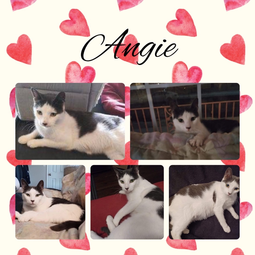 Angie